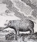 unknow artist hippopotamus,flodhasten eller sjokon,som den ocksa kallades Spain oil painting artist